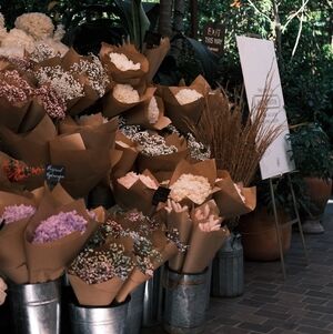 Meet your Posher, Britany